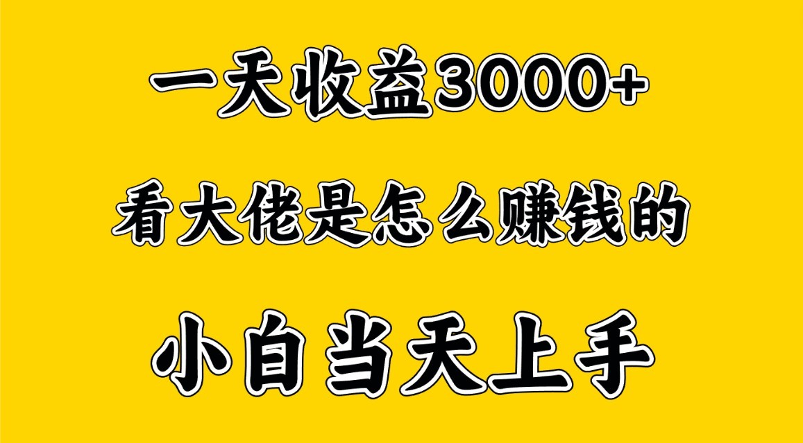 一天赚3000多，大佬是这样赚到钱的，小白当天上手，穷人翻身项目-搞钱社