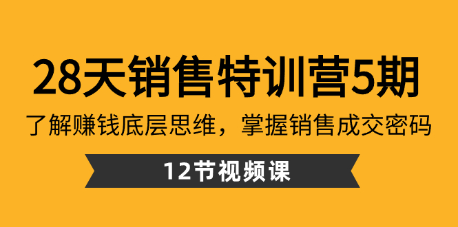 28天·销售特训营5期：了解赚钱底层思维，掌握销售成交密码（12节课）-搞钱社