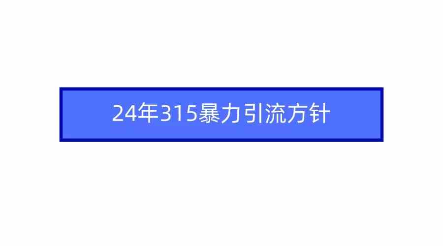 （9398期）2024年315暴力引流方针-搞钱社