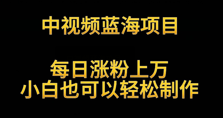 中视频蓝海项目，解读英雄人物生平，每日涨粉上万，小白也可以轻松制作，月入过万不是梦-搞钱社