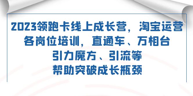 2023领跑·卡 线上成长营 淘宝运营各岗位培训 直通车 万相台 引力魔方 引流-搞钱社