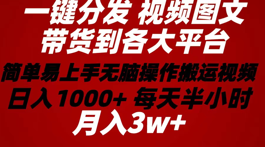 （10667期）2024年 一键分发带货图文视频  简单易上手 无脑赚收益 每天半小时日入1…-搞钱社