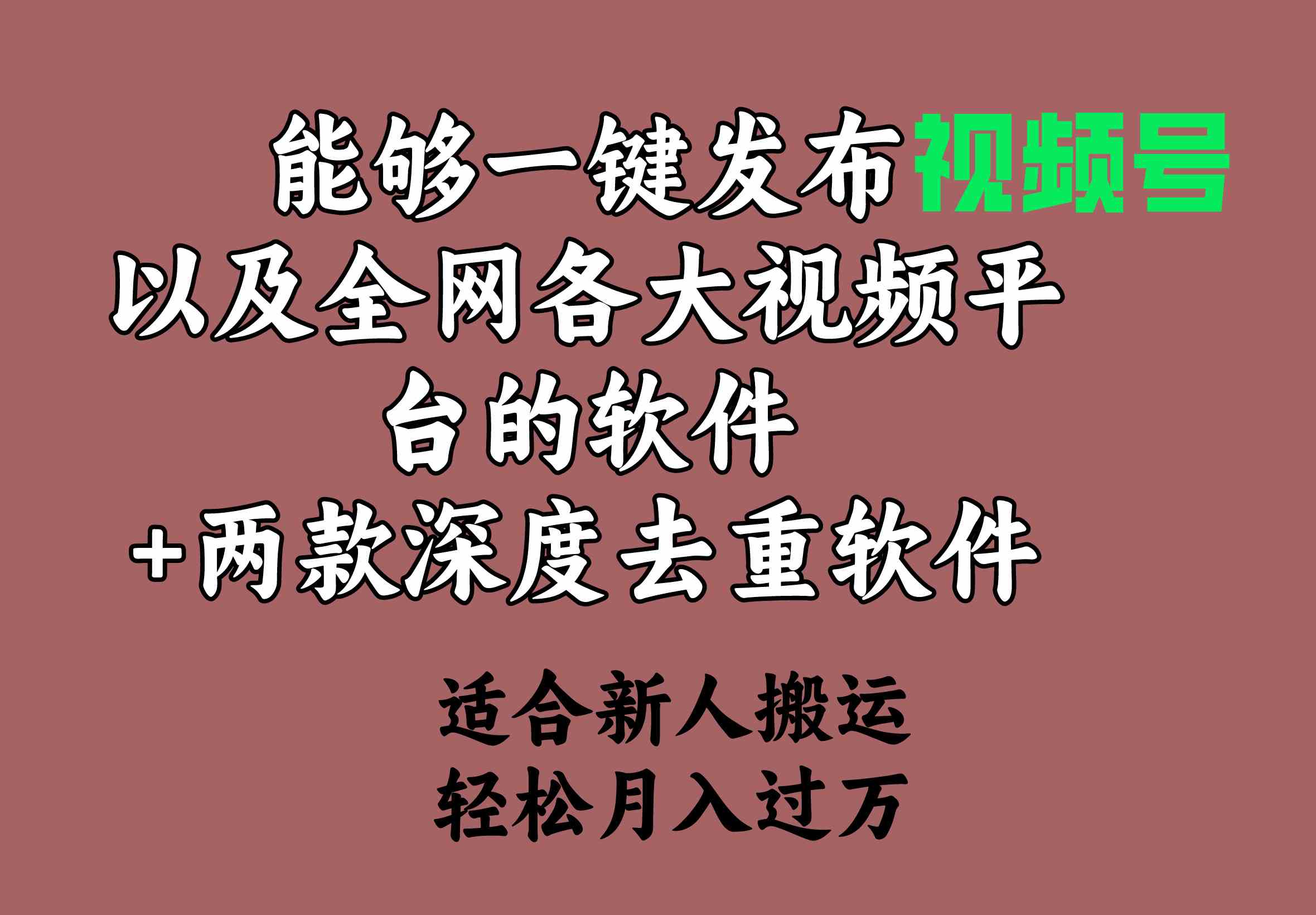 （9319期）能够一键发布视频号以及全网各大视频平台的软件+两款深度去重软件 适合…-搞钱社