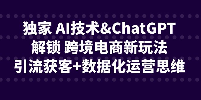 独家 AI技术&ChatGPT解锁 跨境电商新玩法，引流获客+数据化运营思维-搞钱社