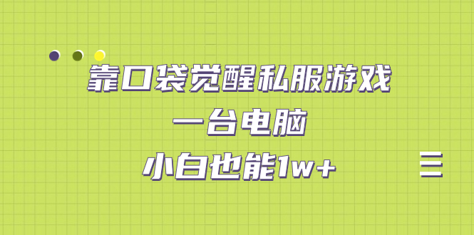 靠口袋觉醒私服游戏，一台电脑，小白也能1w+（教程+工具+资料）-搞钱社