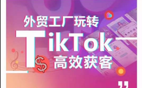 外贸工厂玩转TikTok高效获客，多种引流方式与账号定位技巧，拆解爆款短视频打造成功案例-搞钱社