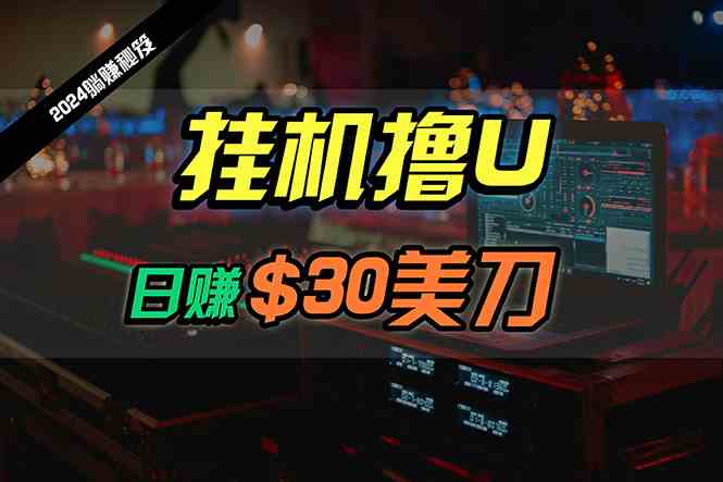 （10013期）日赚30美刀，2024最新海外挂机撸U内部项目，全程无人值守，可批量放大-搞钱社