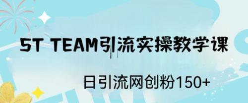 ST TEAM引流实操课，日引流网创粉100+-搞钱社