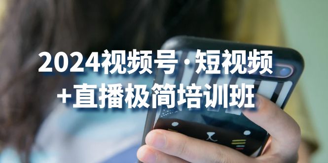 2024视频号短视频+直播极简培训班：抓住视频号风口，流量红利-搞钱社