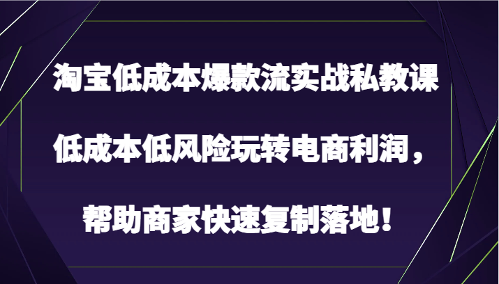 淘宝低成本爆款流实战私教课，低成本低风险玩转电商利润，帮助商家快速复制落地！-搞钱社