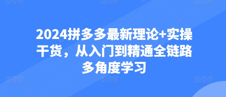 2024拼多多最新理论+实操干货，从入门到精通全链路多角度学习-搞钱社