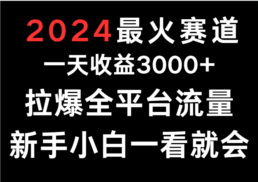 2024最火赛道，一天收一3000+.拉爆全平台流量，新手小白一看就会-搞钱社