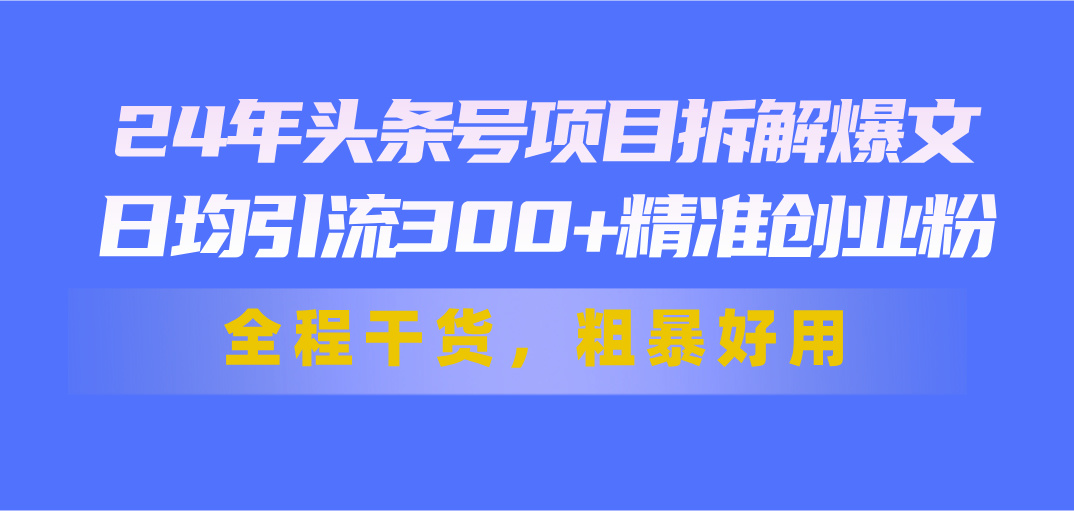 24年头条号项目拆解爆文，日均引流300+精准创业粉，全程干货，粗暴好用-搞钱社