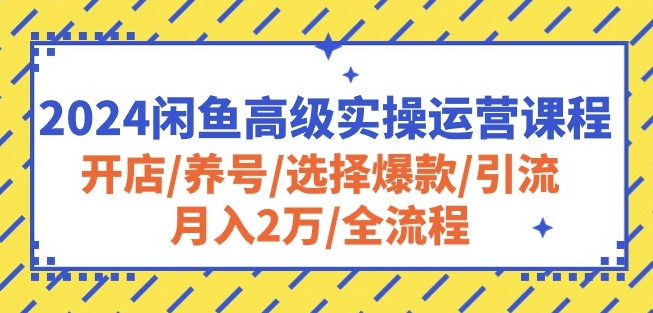 2024闲鱼高级实操运营课程：开店/养号/选择爆款/引流/月入2万/全流程-搞钱社