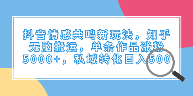 抖音情感共鸣新玩法，知乎无脑搬运，单条作品涨粉5000+，私域转化日入500-搞钱社