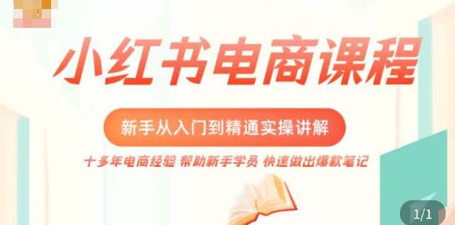 小红书电商新手入门到精通实操课，从入门到精通做爆款笔记，开店运营-搞钱社