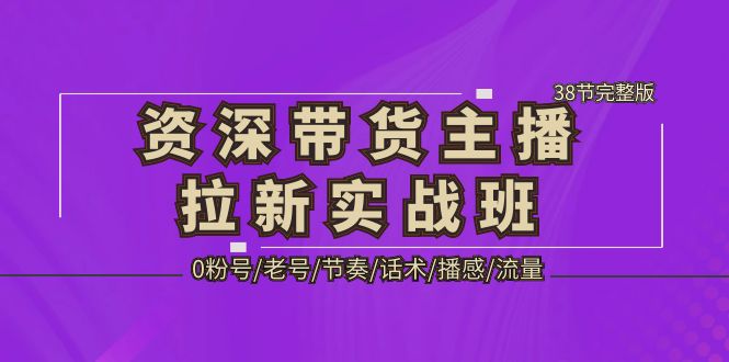 资深·带货主播拉新实战班，0粉号/老号/节奏/话术/播感/流量-38节完整版-搞钱社