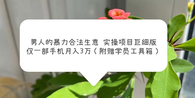 男人的暴力合法生意实操项目巨细版：仅一部手机月入3w（附赠学员工具箱）-搞钱社