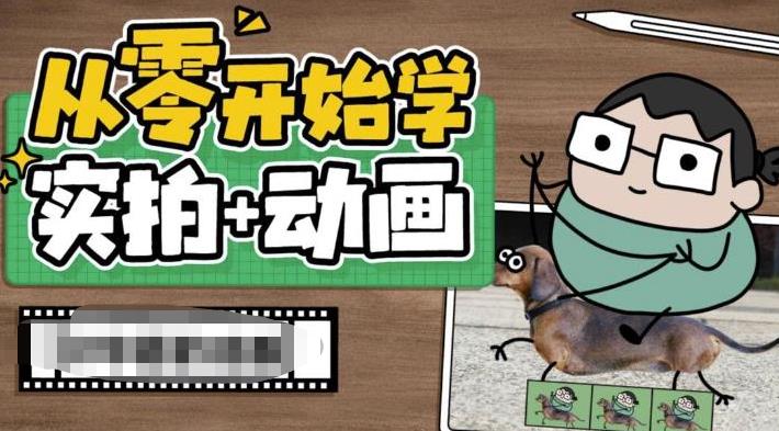 从零开始学实拍加动画，实拍加动画创意教程（49节视频课）-搞钱社