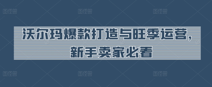 沃尔玛爆款打造与旺季运营，新手卖家必看-搞钱社