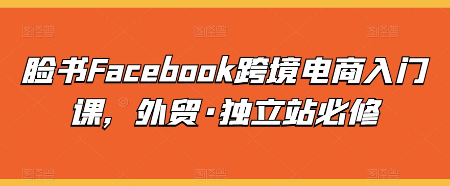 脸书Facebook跨境电商入门课，外贸·独立站必修-搞钱社