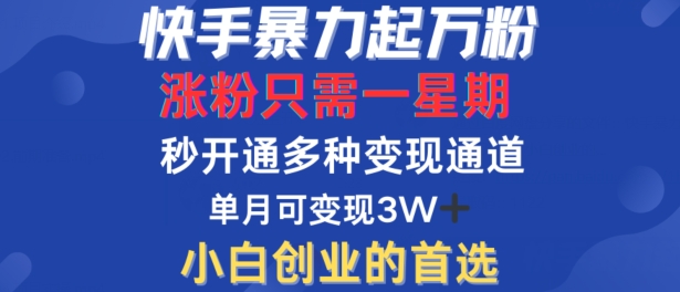 快手暴力起万粉，涨粉只需一星期，多种变现模式，直接秒开万合，单月变现过W【揭秘】-搞钱社