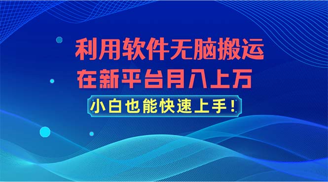 利用软件无脑搬运，在新平台月入上万，小白也能快速上手-搞钱社