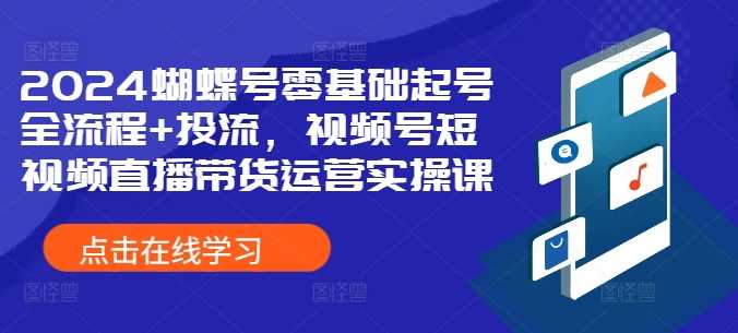 2024蝴蝶号零基础起号全流程+投流，视频号短视频直播带货运营实操课-搞钱社