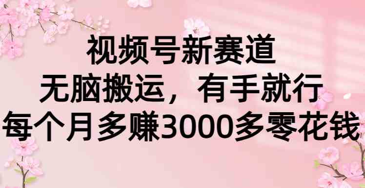 （9277期）视频号新赛道，无脑搬运，有手就行，每个月多赚3000多零花钱-搞钱社