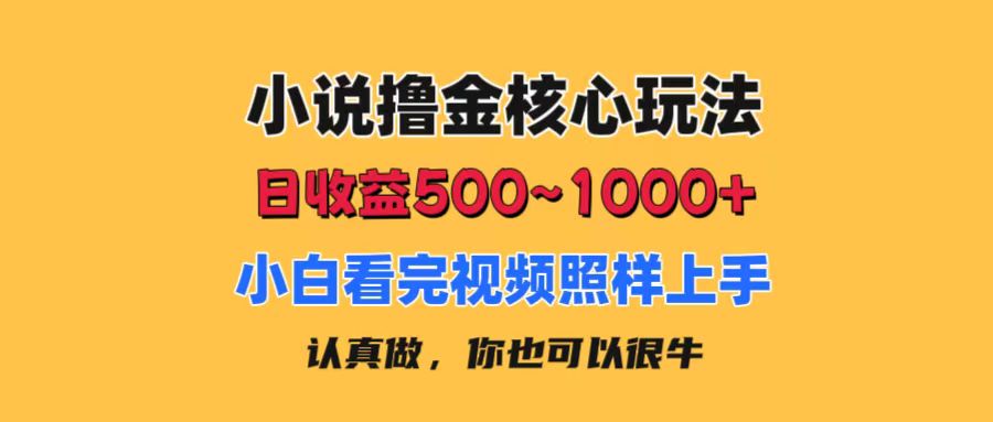 小说撸金核心玩法，日收益500-1000+，小白看完照样上手，0成本有手就行-搞钱社