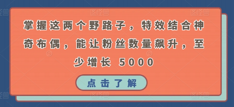 掌握这两个野路子，特效结合神奇布偶，能让粉丝数量飙升，至少增长 5000-搞钱社