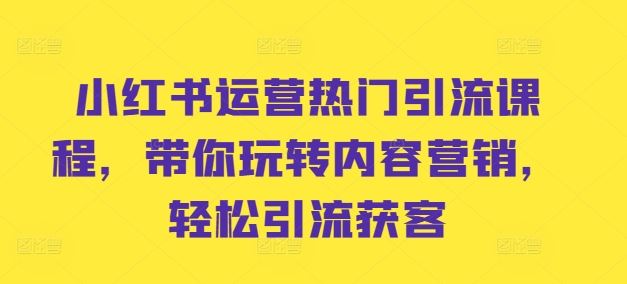 小红书运营热门引流课程，带你玩转内容营销，轻松引流获客-搞钱社