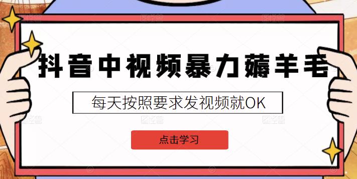 2022抖音中视频暴力薅羊毛白嫖项目：新号每天20块，老号几天几百块，可多号￼-搞钱社