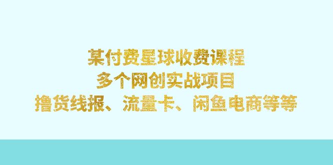 某付费星球课程：多个网创实战项目，撸货线报、流量卡、闲鱼电商等等-搞钱社