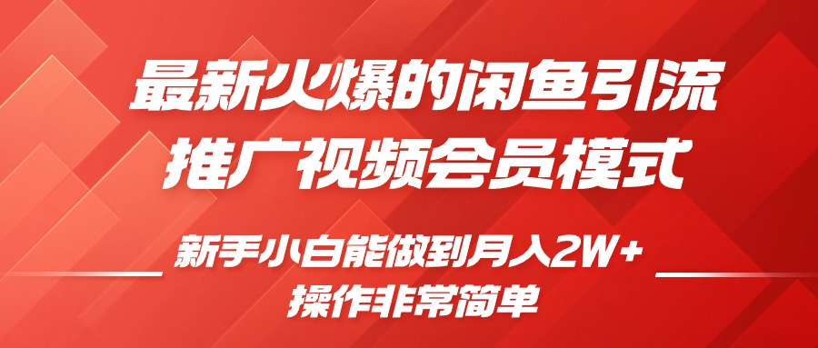 最新火爆的闲鱼引流推广视频会员，新手小白能做到月入2W+-搞钱社