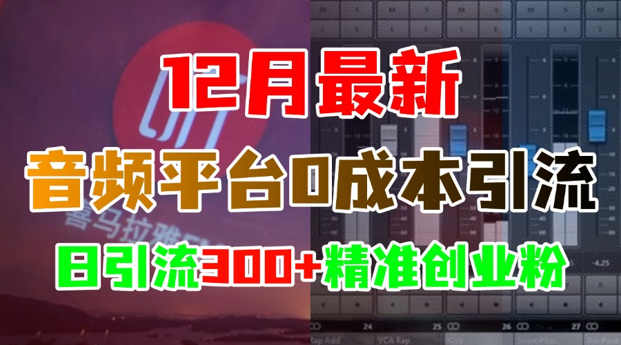 12月最新：音频平台0成本引流，日引300+精准创业粉-搞钱社