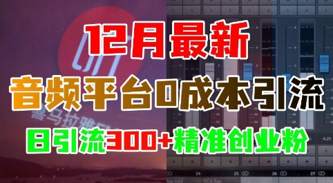 12月最新：音频平台0成本引流，日引流300+精准创业粉-搞钱社