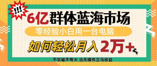 6亿群体蓝海市场，零经验小白用一台电脑，如何轻松月入过w【揭秘】-搞钱社