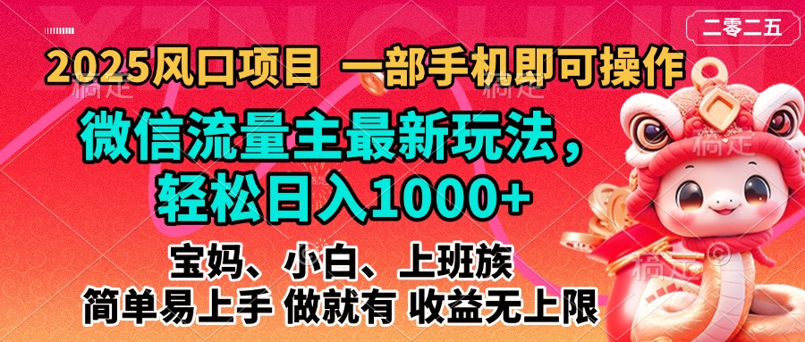 2025蓝海风口项目，微信流量主最新玩法，轻松日入1000+，简单易上手，做就有 收益无上限-搞钱社